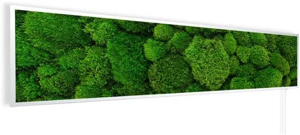 Könighaus Bildinfrarotheizung 450 Watt - 5-12 m² - 120x30 cm — Heizung Warmepumpe